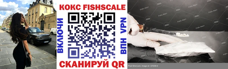 продажа наркотиков  Котельнич  Кокаин FishScale 