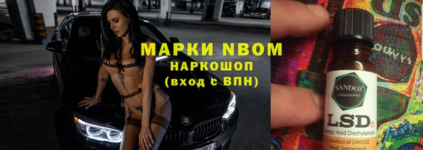 шишки Алексин