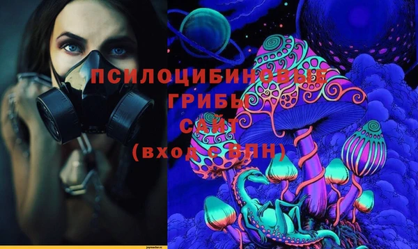 мяу мяу мука Абаза