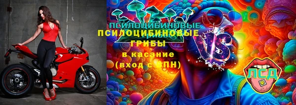apvp Абинск