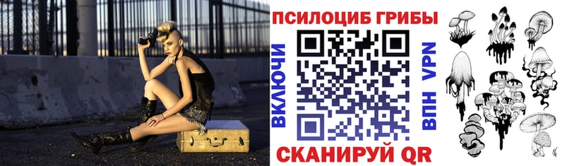 Галлюциногенные грибы Magic Shrooms  сколько стоит  Котельнич 